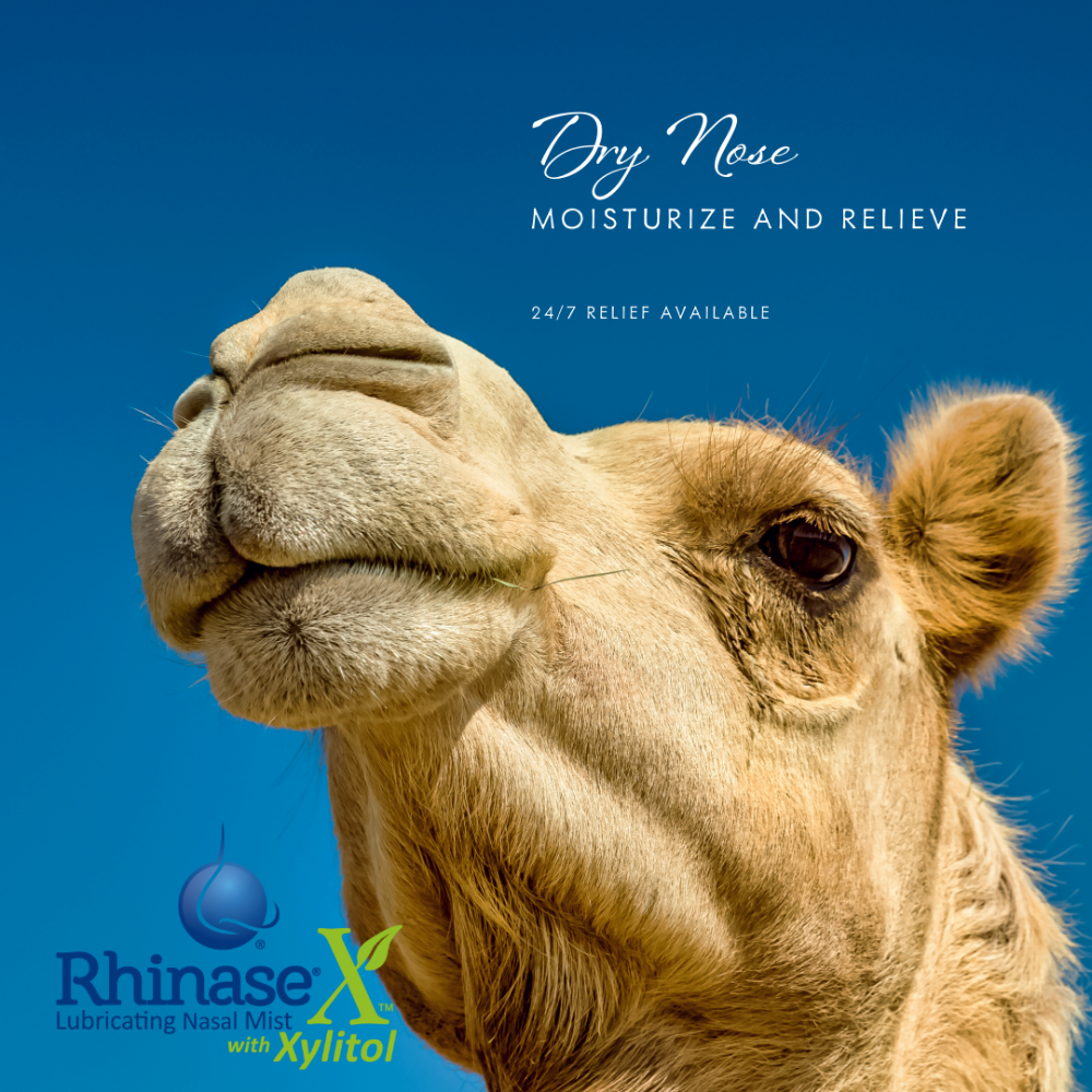Camel's face with 'Rhinase X' product advertisement on a blue background
