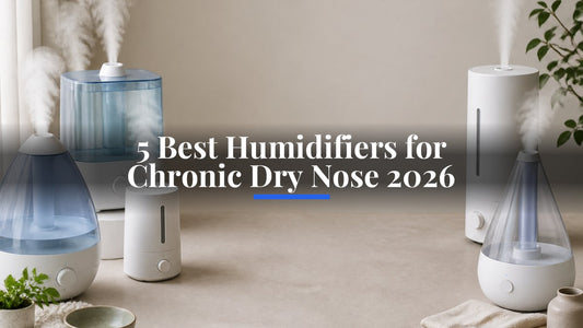 5 Best Humidifiers for Chronic Dry Nose 2026